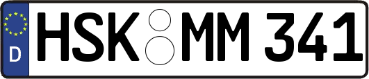 HSK-MM341