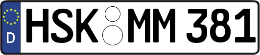 HSK-MM381