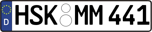 HSK-MM441