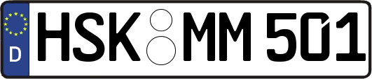 HSK-MM501