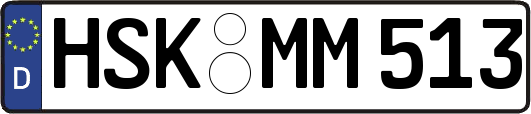 HSK-MM513