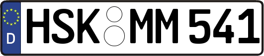 HSK-MM541
