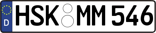 HSK-MM546