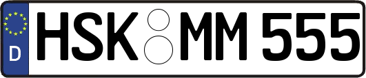 HSK-MM555