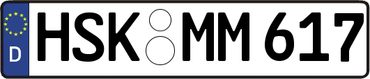 HSK-MM617