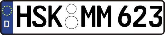 HSK-MM623