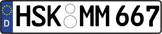 HSK-MM667