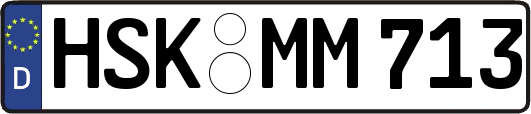 HSK-MM713