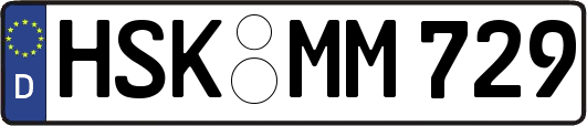 HSK-MM729