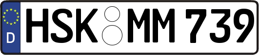 HSK-MM739