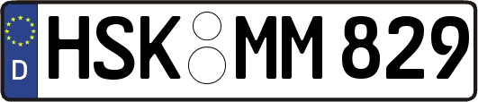 HSK-MM829