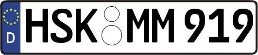 HSK-MM919