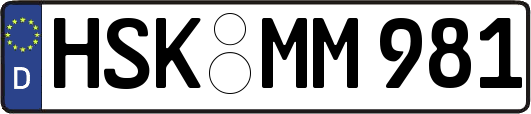 HSK-MM981