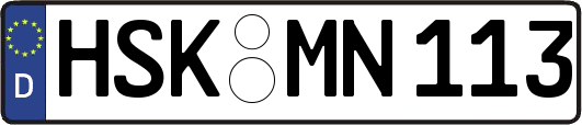 HSK-MN113