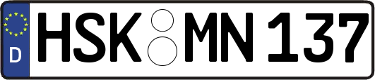 HSK-MN137