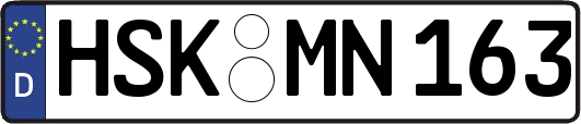 HSK-MN163