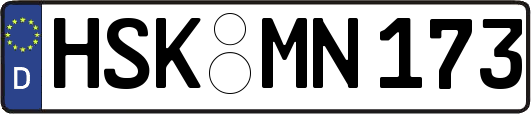 HSK-MN173