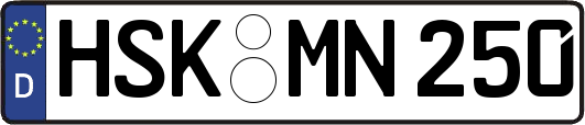 HSK-MN250