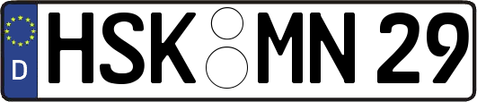 HSK-MN29