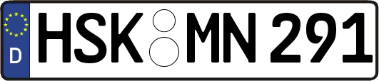HSK-MN291
