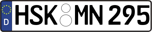 HSK-MN295