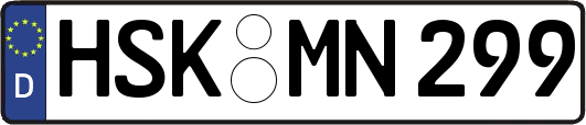 HSK-MN299