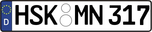 HSK-MN317