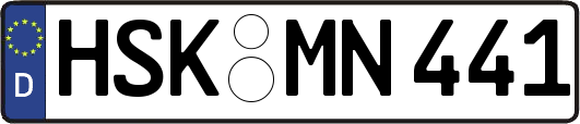HSK-MN441
