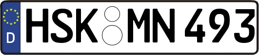 HSK-MN493