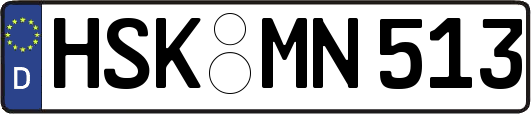 HSK-MN513