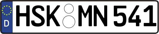 HSK-MN541