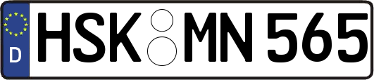 HSK-MN565