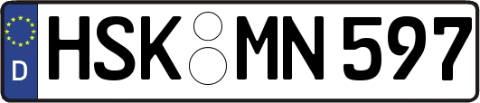 HSK-MN597
