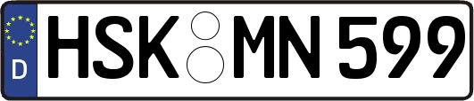 HSK-MN599