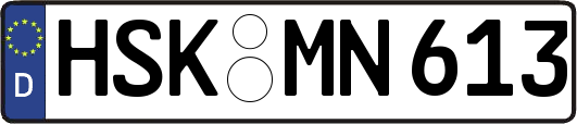 HSK-MN613
