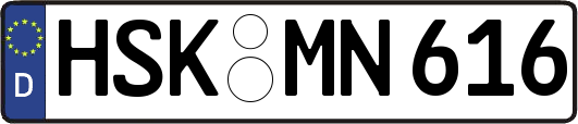 HSK-MN616