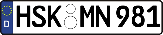 HSK-MN981