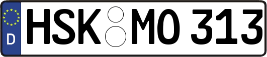 HSK-MO313