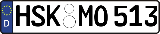 HSK-MO513