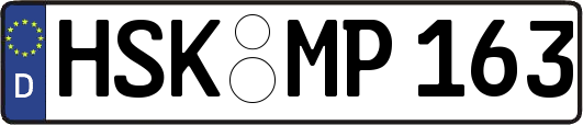 HSK-MP163