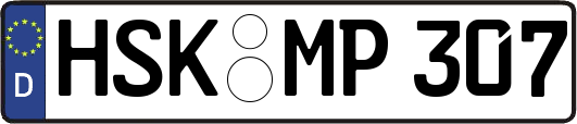 HSK-MP307