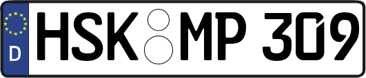 HSK-MP309