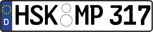 HSK-MP317