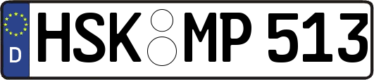 HSK-MP513