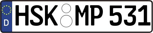 HSK-MP531