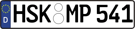 HSK-MP541