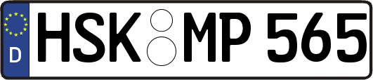 HSK-MP565