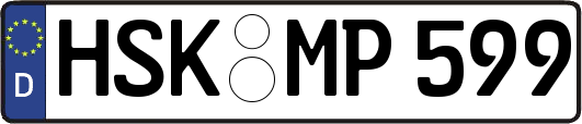 HSK-MP599