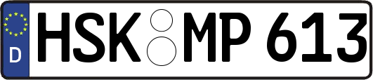 HSK-MP613