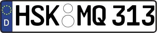 HSK-MQ313